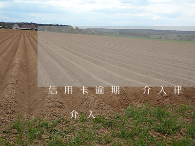 信用卡逾期會介入律師嗎(信用卡逾期司法局會介入嗎)