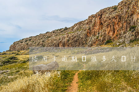 信用卡逾期會催多久(為什么信用卡逾期突然不催了)