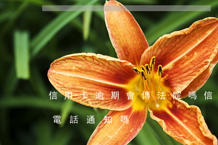 信用卡逾期會傳法院嗎(信用卡逾期法院會打電話通知嗎)