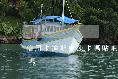 信用卡逾期會凍卡嗎貼吧（信用卡逾期會凍卡嗎）