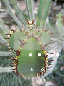 信用卡逾期會凍結(jié)個人房產(chǎn)嗎(信用貸逾期會凍結(jié)房產(chǎn))