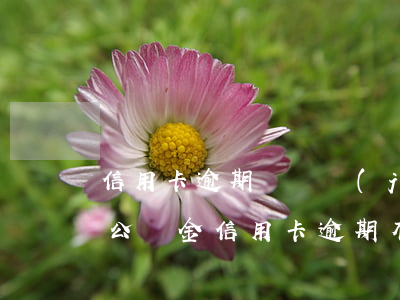 信用卡逾期會凍結(jié)公積金賬戶嗎(公積金信用卡逾期有什么影響)