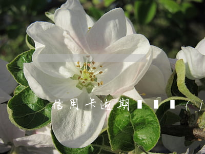 信用卡逾期會凍結(jié)其他儲蓄卡么