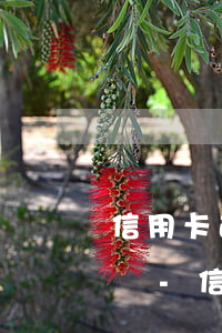 信用卡逾期會凍結(jié)名下空銀行卡嗎-信用卡逾期會凍結(jié)名下空銀行卡嗎怎么辦