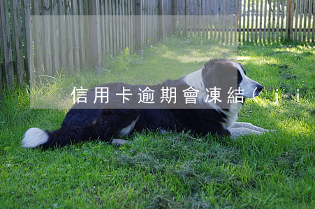 信用卡逾期會凍結(jié)夫妻一方嗎