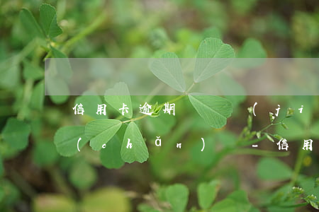 信用卡逾期會凍結(jié)夫妻婚前財產(chǎn)嗎-信用卡逾期會凍結(jié)夫妻婚前財產(chǎn)嗎知乎