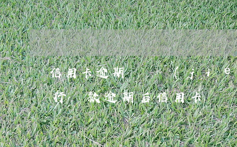 信用卡逾期會凍結(jié)我的銀行卡(銀行貸款逾期后信用卡凍結(jié)了怎么辦)