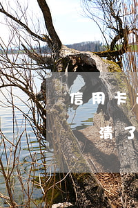 信用卡逾期會凍結(jié)所有資金嗎-還清了信用卡逾期款為啥被銀行把卡凍結(jié)了