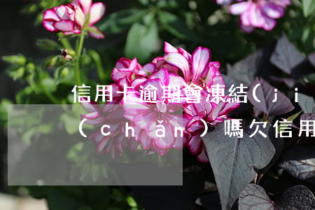 信用卡逾期會凍結(jié)配偶名下財產(chǎn)嗎(欠信用卡可以凍結(jié)房產(chǎn)嗎)