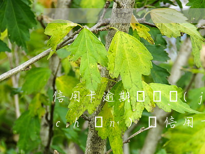 信用卡逾期會凍結(jié)配偶的房產(chǎn)嗎（信用卡逾期會凍結(jié)配偶的房產(chǎn)嗎）