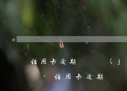 信用卡逾期會凍結(jié)騰訊虛擬賬號嗎-信用卡逾期會凍結(jié)騰訊虛擬賬號嗎安全嗎