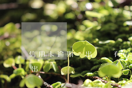 信用卡逾期會出國嗎 有信用卡逾期的人,可以出國嗎