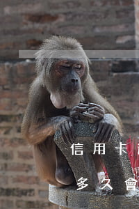 信用卡逾期會列入失信名單嗎-信用卡逾期多久會上失信黑名單
