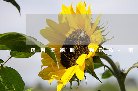 信用卡逾期會判刑么-信用卡逾期會判刑么嗎