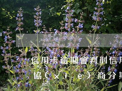 信用卡逾期會判刑 信用卡逾期會判刑嗎怎么協(xié)商分期