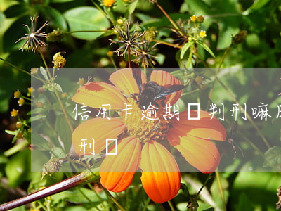 信用卡逾期會判刑嘛(因服刑信用卡逾期會加刑嗎)