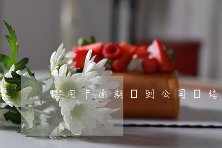 信用卡逾期會到公司嗎(信用卡逾期會怎么樣)