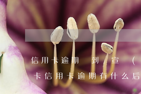 信用卡逾期會到處宣揚(yáng)嗎(銀行卡信用卡逾期有什么后果)