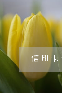 信用卡逾期會動(dòng)真格嗎