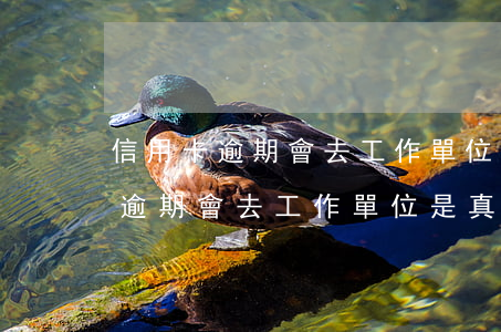信用卡逾期會去工作單位是真的嗎-信用卡逾期會去工作單位是真的嗎知乎
