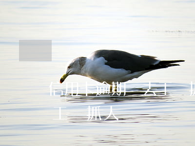 信用卡逾期會去工廠抓人嗎(信用卡逾期會去工廠抓人嗎)