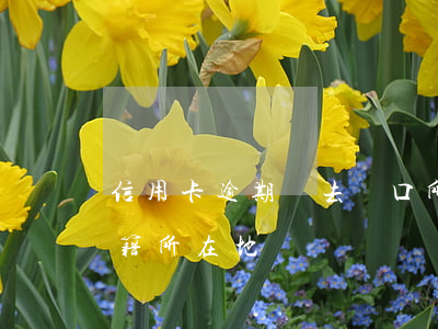 信用卡逾期會去戶口所在地(欠信用卡會去戶籍所在地嗎)
