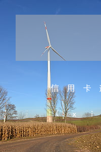 信用卡逾期會參考五年(五年前信用卡逾期,現(xiàn)在有影響嘛)