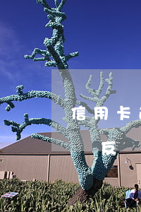 信用卡逾期會反復(fù)上門（信用卡逾期會反復(fù)上門）