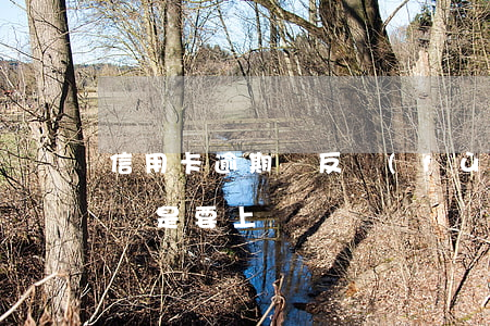 信用卡逾期會反復(fù)上門(信用卡逾期說是要上門)