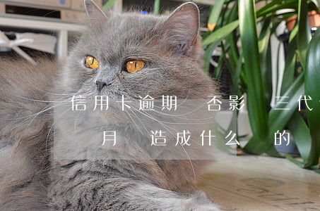 信用卡逾期會否影響三代(信用卡如果逾期三個月會造成什么樣的結(jié)果)