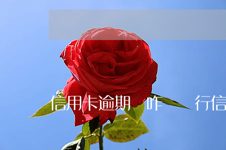 信用卡逾期會咋樣(銀行信用卡逾期了會怎么樣)