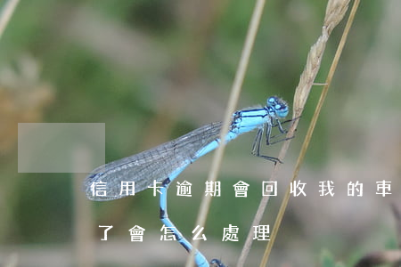 信用卡逾期會回收我的車嗎(車逾期了被收回了會怎么處理)
