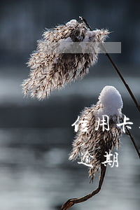 信用卡逾期會在儲值卡上自己扣嗎-信用卡逾期會在儲值卡上自己扣嗎怎么辦