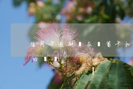 信用卡逾期會在儲蓄卡扣嗎(逾期會扣銀行卡的錢嗎)