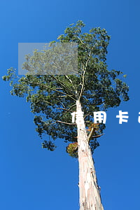 信用卡逾期會在賬單顯示嗎-有信用卡逾期記錄