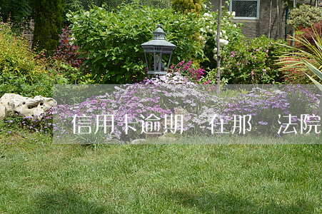 信用卡逾期會在那個法院