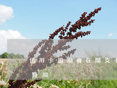 信用卡逾期會在開支卡里扣錢嗎(信用卡 逾期 費用)