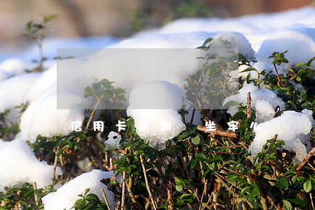 信用卡逾期會坐牢么