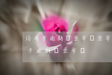 信用卡逾期會坐牢嗎坐牢還用還嗎-欠信用卡逾期會坐牢嗎