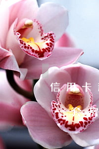 信用卡逾期會執(zhí)行房子嗎(名下有一套房子信用卡逾期)