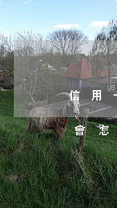 信用卡逾期會報案嗎(信用卡逾期報警立案后會怎么樣)