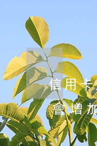 信用卡逾期會增加利息和違約金（信用卡逾期會增加利息）