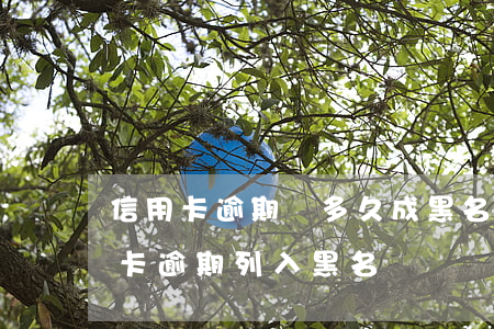 信用卡逾期會多久成黑名單(收到短信說信用卡逾期列入黑名單)