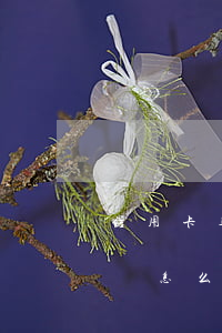 信用卡逾期會多收費嗎嗎(如果說信用卡逾期會怎么樣)