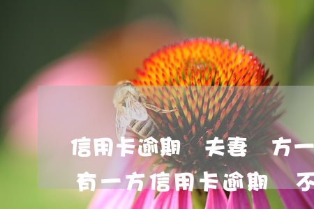 信用卡逾期會夫妻雙方一起起訴嗎(夫妻之間有一方信用卡逾期會不會影響另一方)