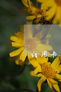 信用卡逾期會家人嗎(逾期影響家人信用嗎)