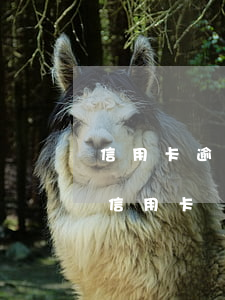 信用卡逾期會封支付寶嗎 支付寶逾期會凍結信用卡