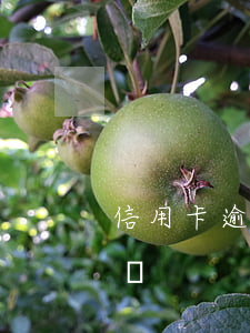 信用卡逾期會封社保嗎(信用卡逾期會封社保嗎)
