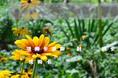 信用卡逾期會封親屬的卡么(逾期會影響別的信用卡嗎)