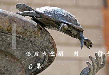 信用卡逾期會封車 銀行卡信用卡逾期有什么后果